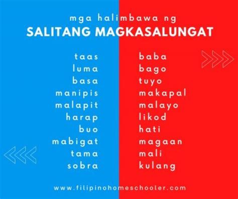 salungat meaning|SALUNGA (Tagalog).